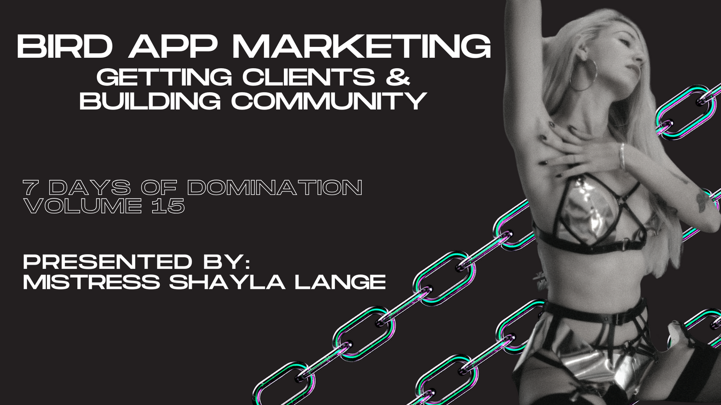 Bird App Marketing with Shayla Lange